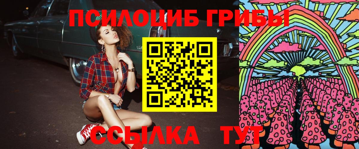 где найти наркотики  Псилоцибиновые грибы Cubensis  Вход с VPN  Ростов Великий  Галлюциногенные грибы Magic Shrooms 
